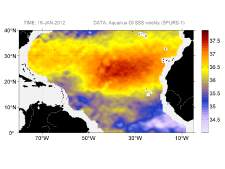 Sea surface salinity, January 18, 2012