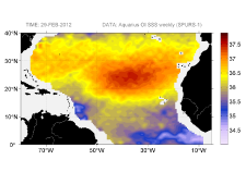 Sea surface salinity, February 29, 2012