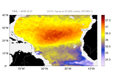 Sea surface salinity, March 1, 2013