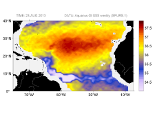 Sea surface salinity, August 23, 2013
