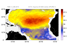Sea surface salinity, January 4, 2014