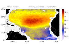 Sea surface salinity, February 8, 2014