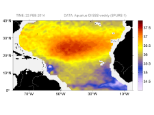 Sea surface salinity, February 22, 2014