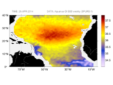 Sea surface salinity, April 26, 2014