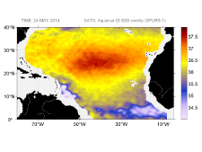 Sea surface salinity, May 24, 2014