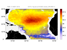 Sea surface salinity, May 31, 2014