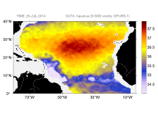Sea surface salinity, July 26, 2014