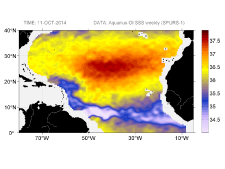 Sea surface salinity, October 11, 2014