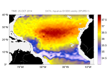 Sea surface salinity, October 25, 2014