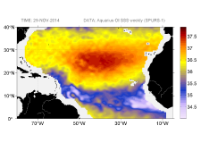 Sea surface salinity, November 29, 2014