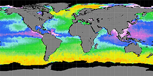 Sea surface density, August 2011