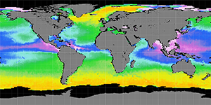 Sea surface density, September 2011