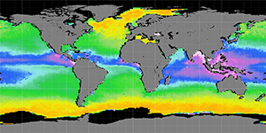 Sea surface density, December 2011