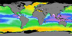Sea surface density, January 2012