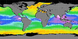 Sea surface density, March 2012