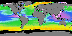 Sea surface density, July 2012