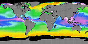 Sea surface density, October 2012