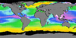 Sea surface density, September 2013