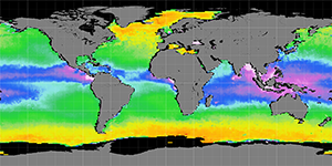 Sea surface density, December 2013