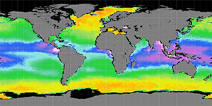 Sea surface density, January 2014
