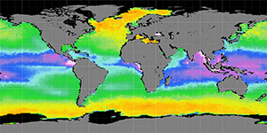 Sea surface density, January 2015