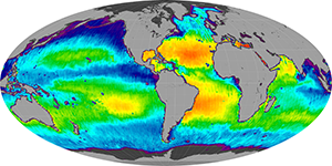 Global sea surface salinity, December 2014