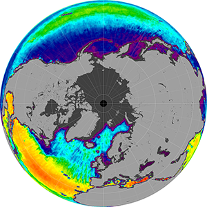Sea surface salinity in the Northern Hemisphere, December 2014