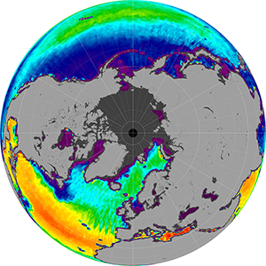 Sea surface salinity in the Northern Hemisphere, July 2013