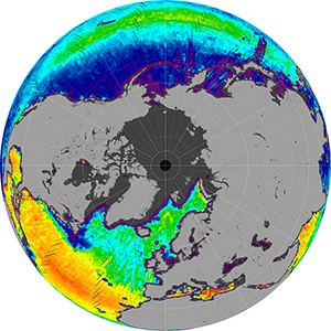 Sea surface salinity in the Northern Hemisphere, June 2015
