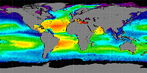 Global sea surface salinity, Summer 2014