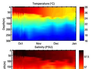 Temperature and salinity graphs from Argo Float #7572
