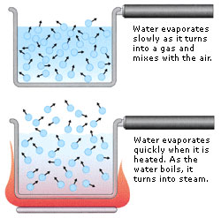 Evaporation of water