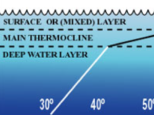 Ocean temperature profile