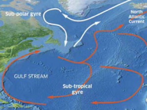 North Atlantic subtropical gyre