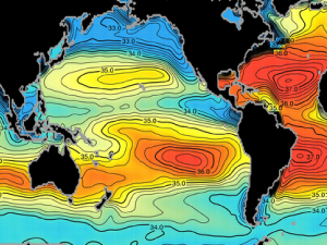 Map of average salinity from historical ship and buoy data