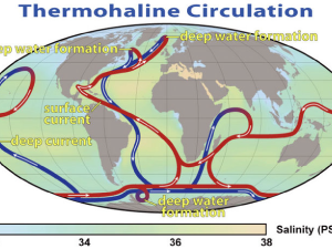 Map of thermohaline circulation