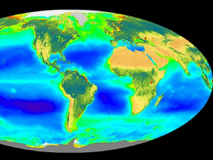 SeaWiFS global biosphere